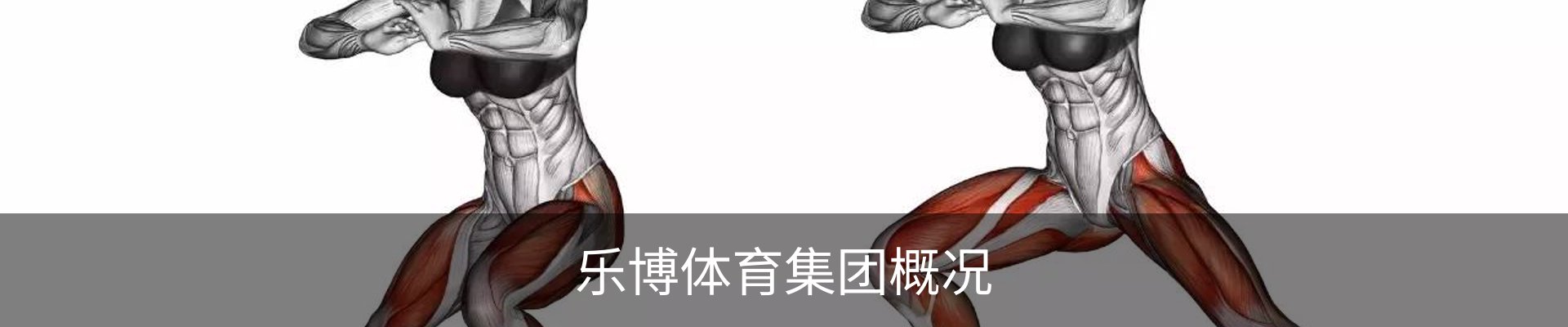 乐博体育集团概况